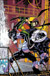 Robin #70