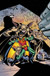 Robin #77