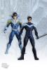 1nightwing01_t1.jpg